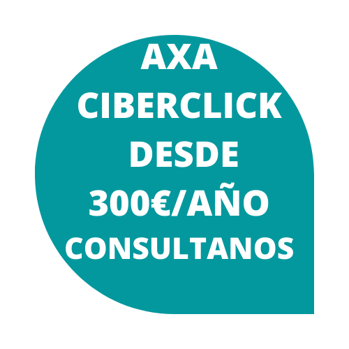 Chat-Desde 300,00€/Año